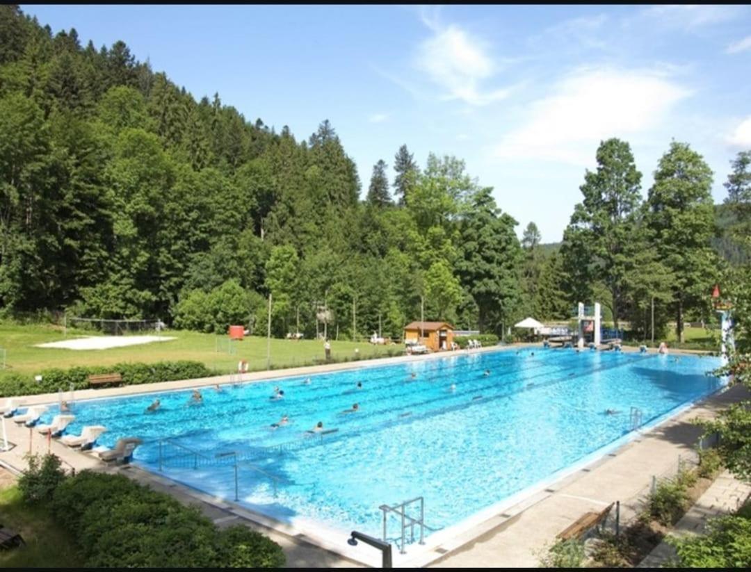 Sumeja Residence Triberg im Schwarzwald Bagian luar foto